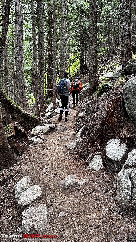 Hiking in Washington - A healthy & beautiful way to enjoy nature!-img_4132.jpg