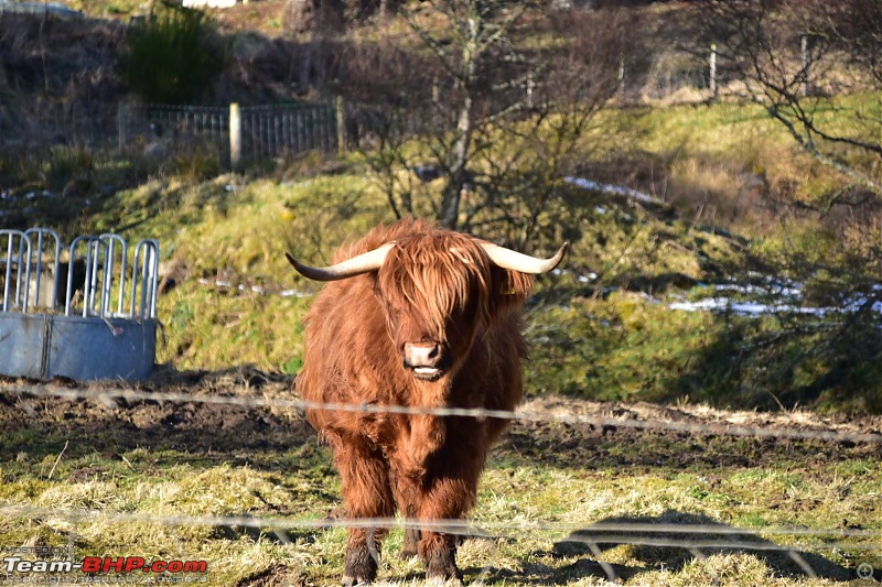 Spectacular Scotland-dsc_0397.jpg