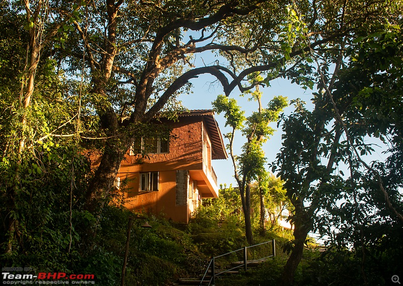A Weekend in a Jungle Lodge: A Short Photologue-dsc_3835.jpg