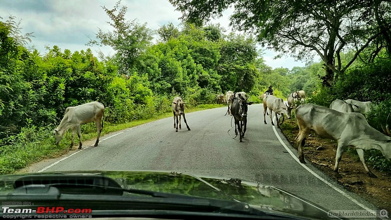 A quick drive to Hoganekkal-00013.jpg