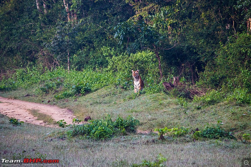 Mumbai to Wayanad & Kabini (via Bliss) in a Honda CR-V-img_7804.jpg