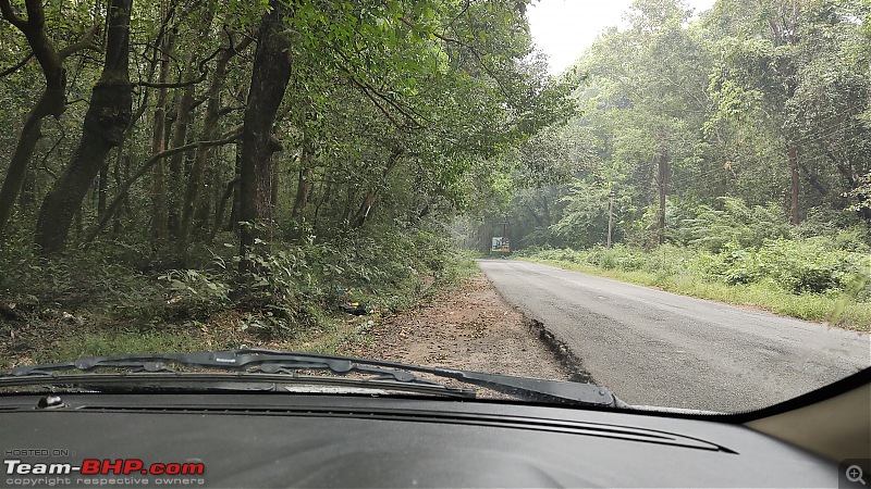 Driving Roads Riding Waves - A drive to surf to Mulki-11_forest.jpg