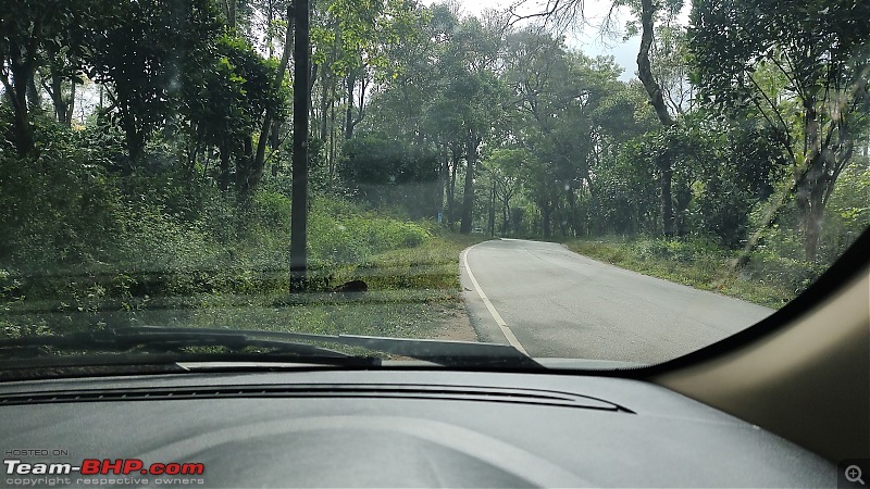 Driving Roads Riding Waves - A drive to surf to Mulki-27_road.jpg