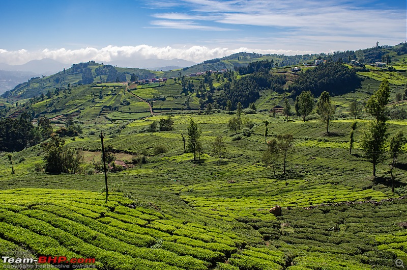 Ooty road-trip on a Honda CB300R-25.jpg