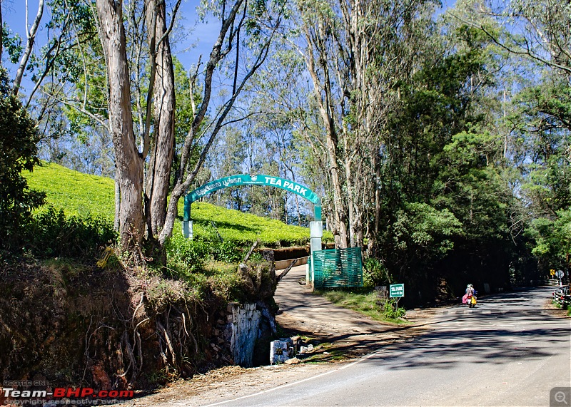 Ooty road-trip on a Honda CB300R-6.jpg