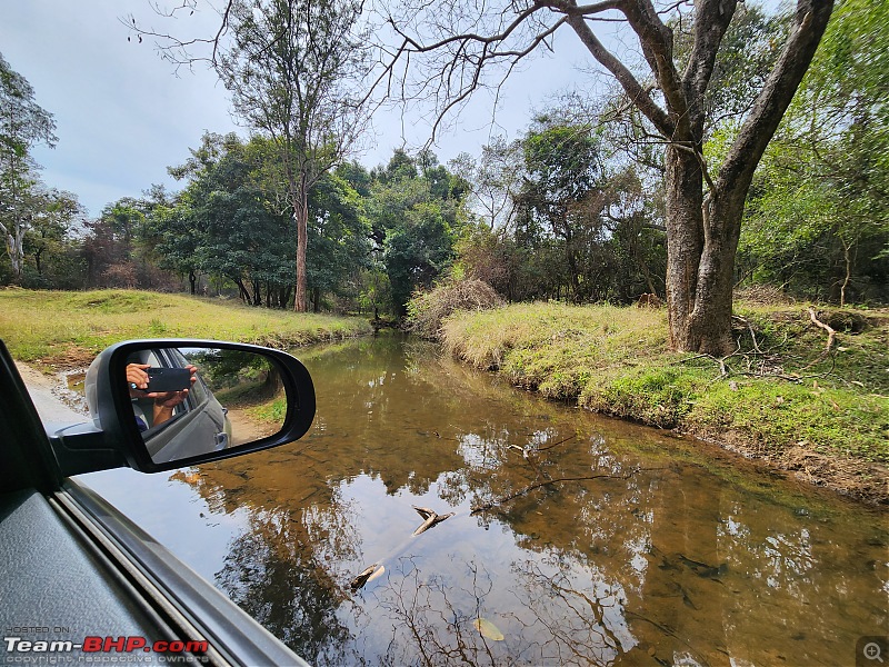 A solo weekend drive to K Gudi Wilderness Camp-stream_crossing.jpg