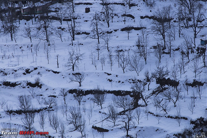 Sailed through Winter Spiti in three Duster AWDs : Snow Drive-img_2854.jpg