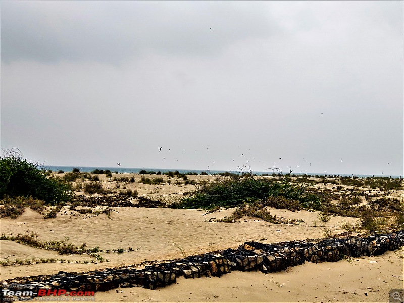 A 'Monument'al trip to South India!-deserted-spot-dhanushkodi.jpg