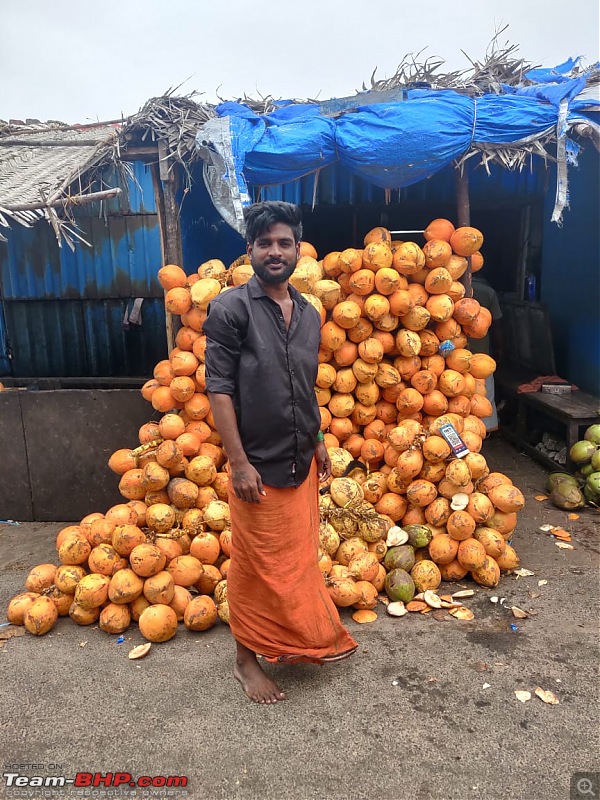 A 'Monument'al trip to South India!-orange-color-coconuts.jpeg