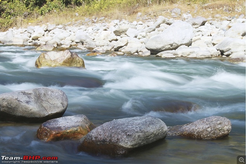 A trip to Arunachal Pradesh - Nameri National Park-img_5684.jpg