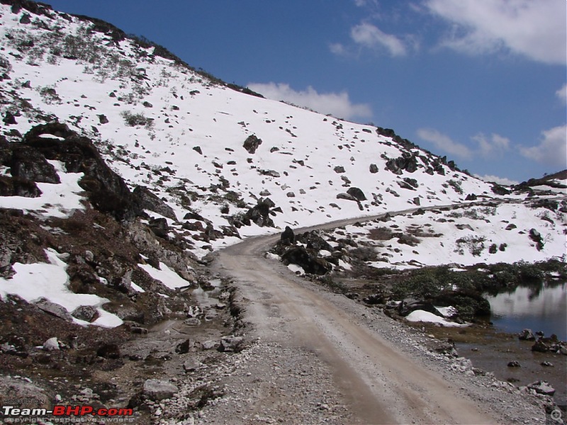 A trip to Arunachal Pradesh - Nameri National Park-dsc04471.jpg