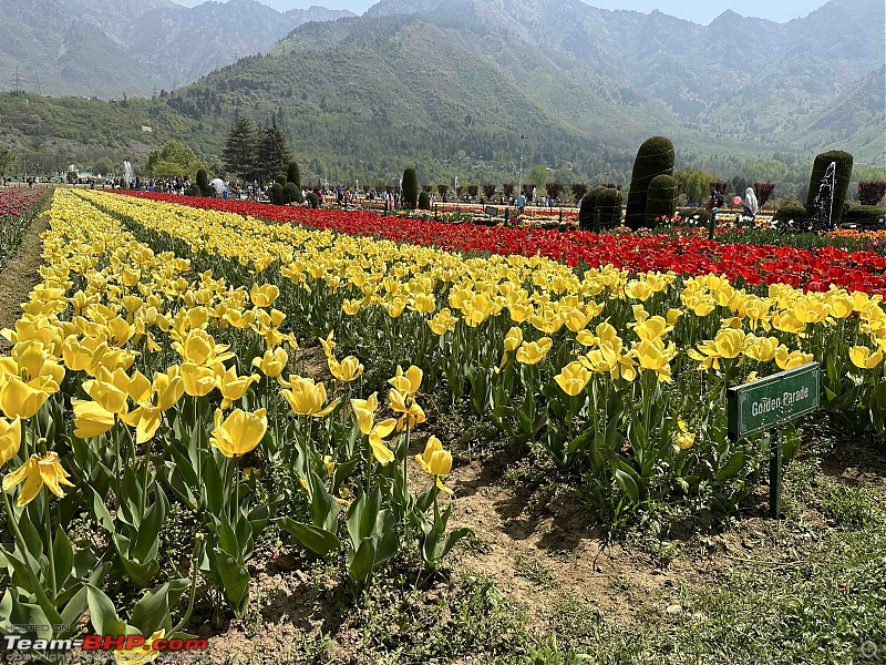 Exploring Paradise on Earth : A Journey through the scenic landscapes of Kashmir-img_3884.jpg