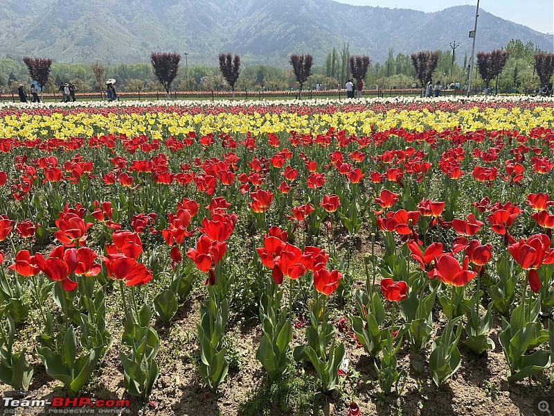 Exploring Paradise on Earth : A Journey through the scenic landscapes of Kashmir-img_3934.jpg