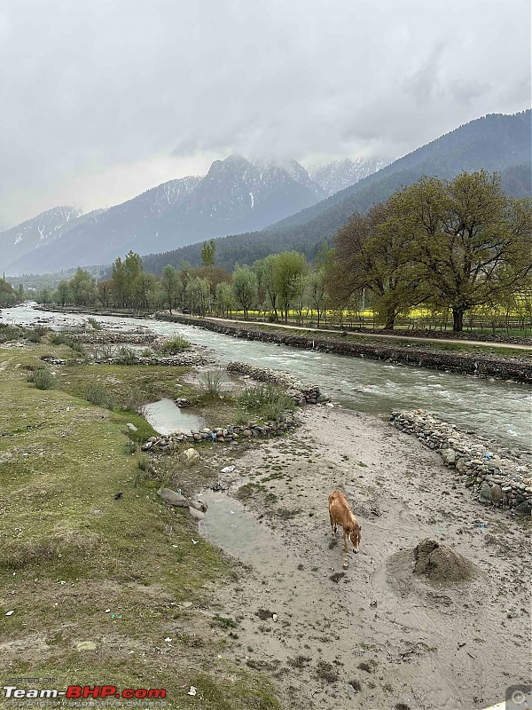 Exploring Paradise on Earth : A Journey through the scenic landscapes of Kashmir-img_4774.jpg