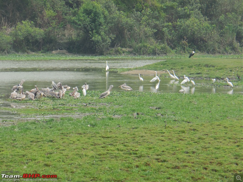 Bengaluru - Arunchal Roadtrip | 2+ weeks in a Fortuner-dscn8691.jpg