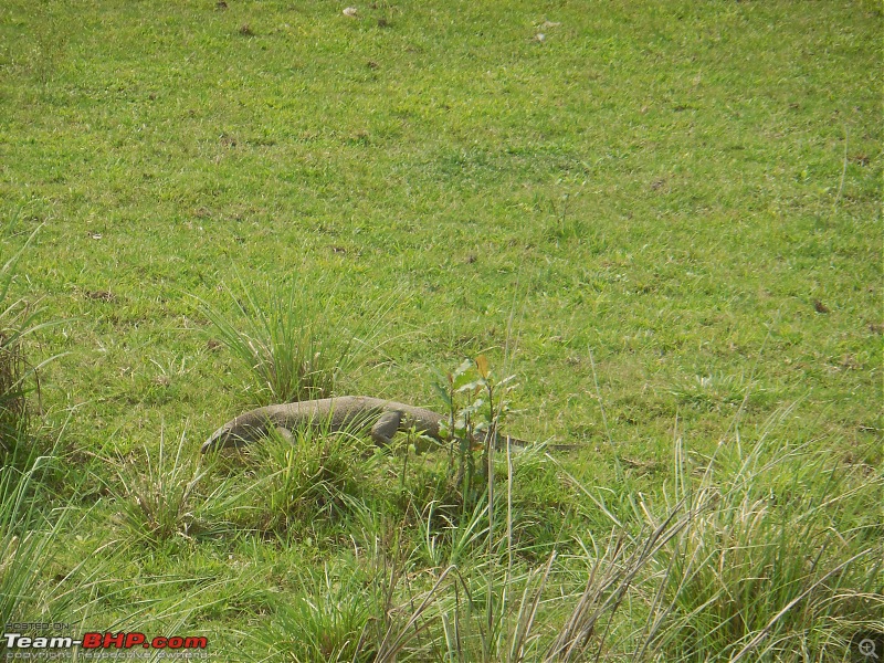 Bengaluru - Arunchal Roadtrip | 2+ weeks in a Fortuner-dscn8694.jpg