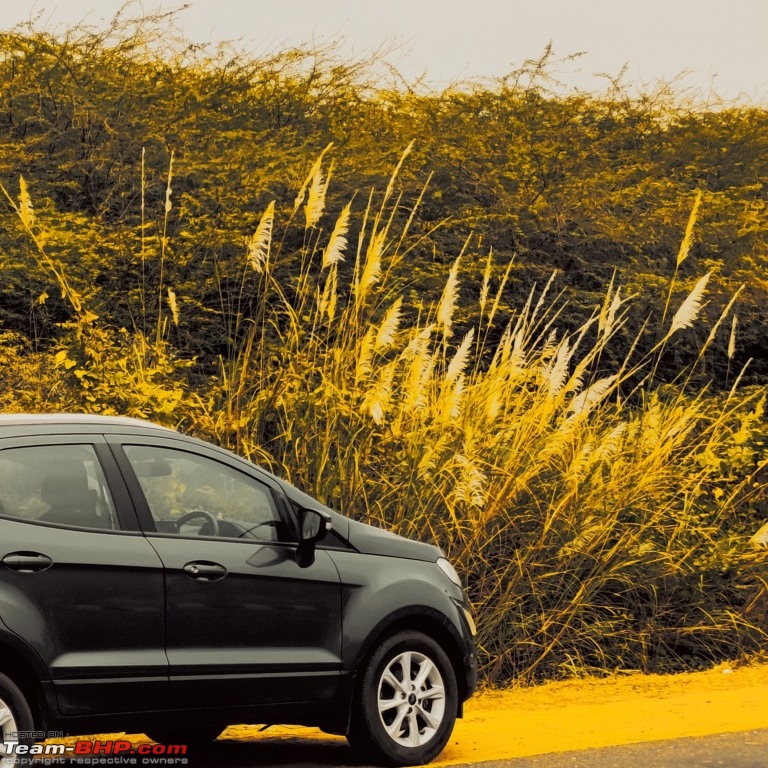 Driving to the Lands End  Dhanushkodi-9.jpg