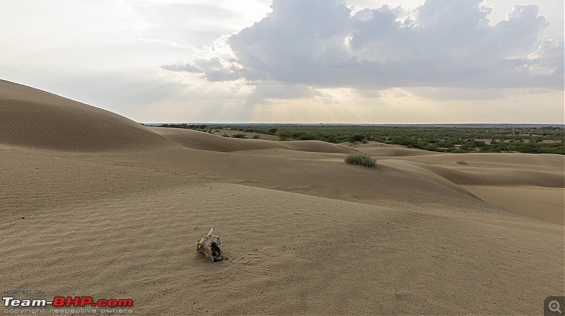 Not so deserted Thar desert: Photolog-desert-scape.jpg