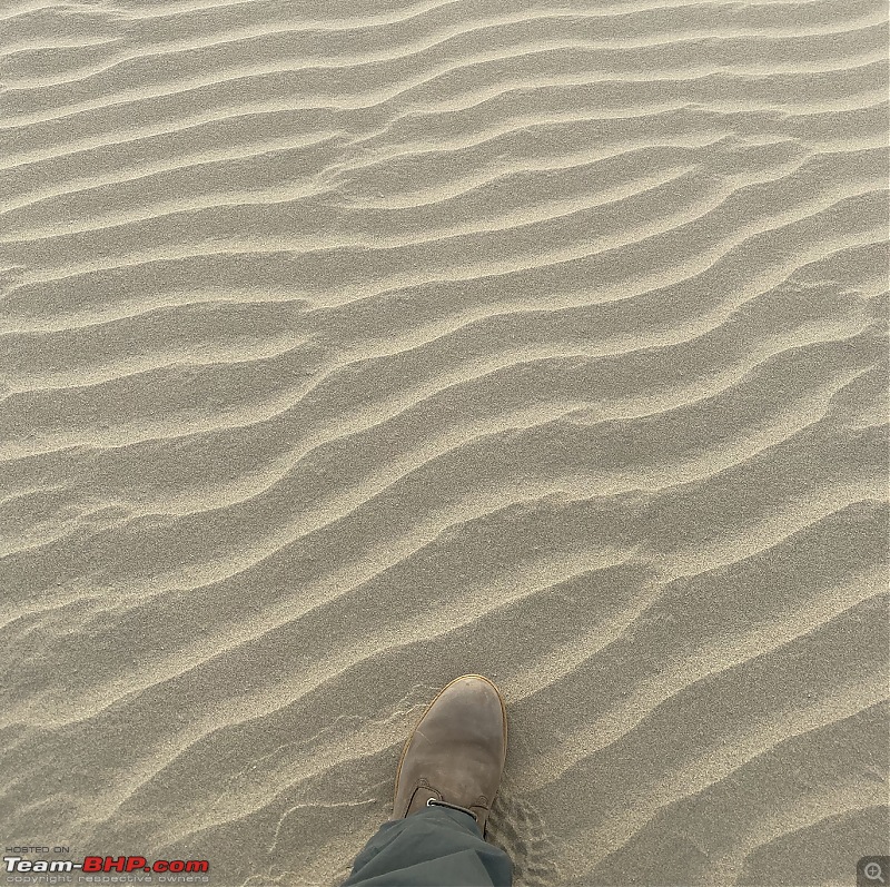 Not so deserted Thar desert: Photolog-img_9967sand-walk.jpg