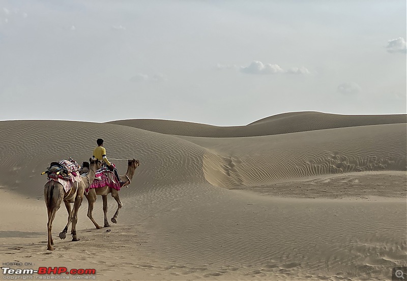 Not so deserted Thar desert: Photolog-img_9963camel-desert.jpg