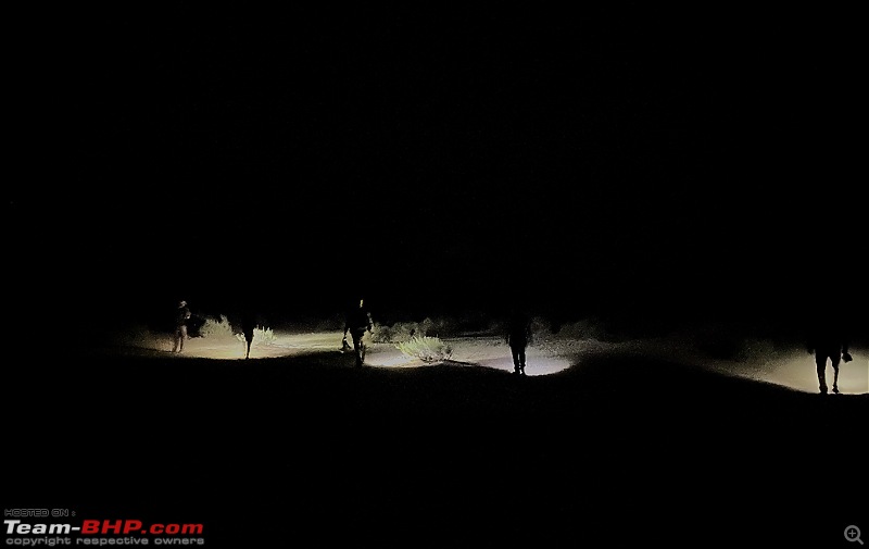 Not so deserted Thar desert: Photolog-img_0137night-search.jpg