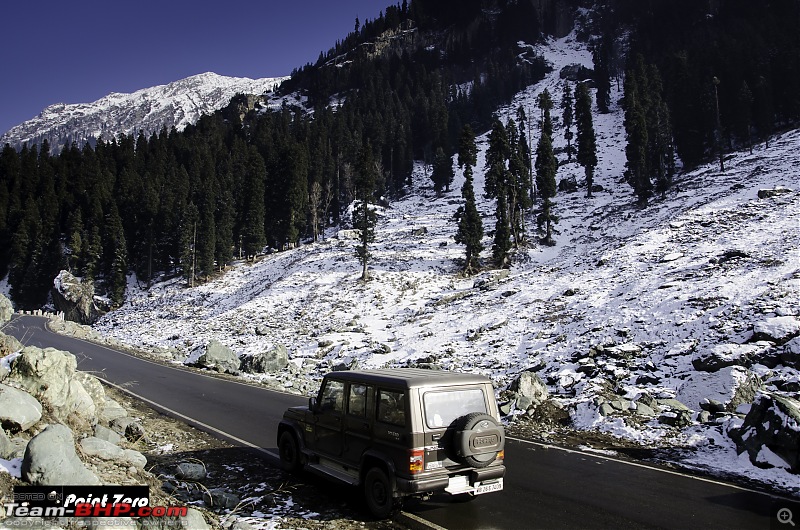 Chasing the Snow | Winter in Kashmir-tkd_6006.jpg