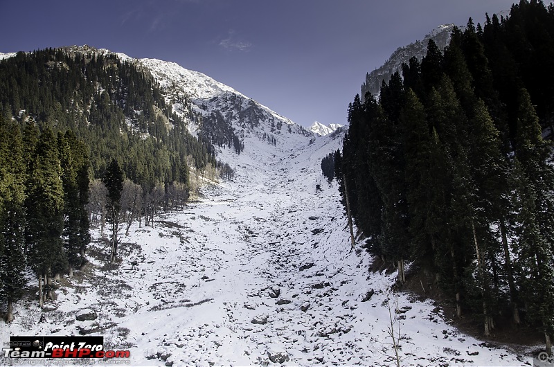 Chasing the Snow | Winter in Kashmir-tkd_6018.jpg