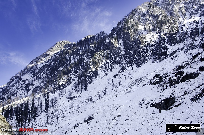 Chasing the Snow | Winter in Kashmir-tkd_6035.jpg