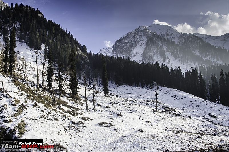 Chasing the Snow | Winter in Kashmir-tkd_6044.jpg
