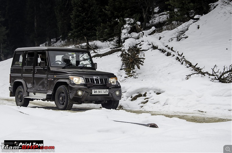 Chasing the Snow | Winter in Kashmir-tkd_6307.jpg