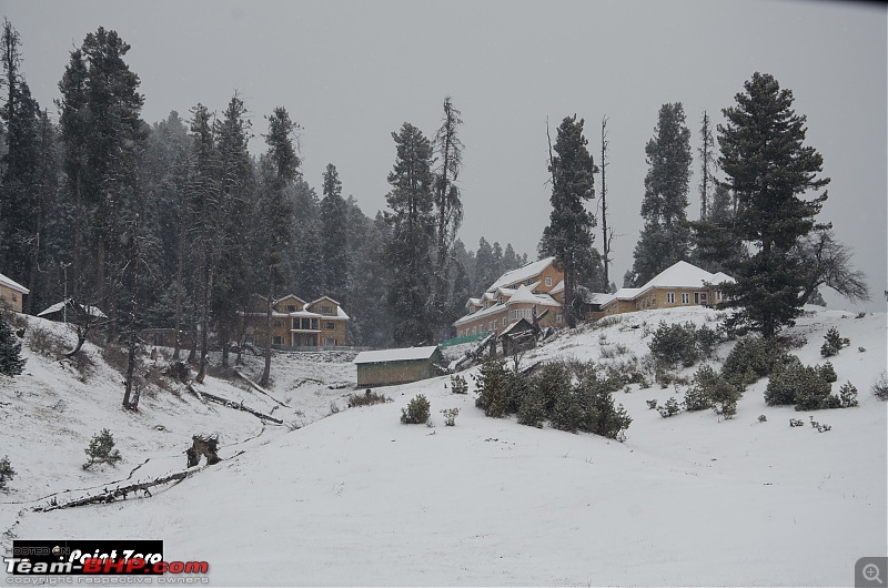 Chasing the Snow | Winter in Kashmir-tkd_6359.jpg