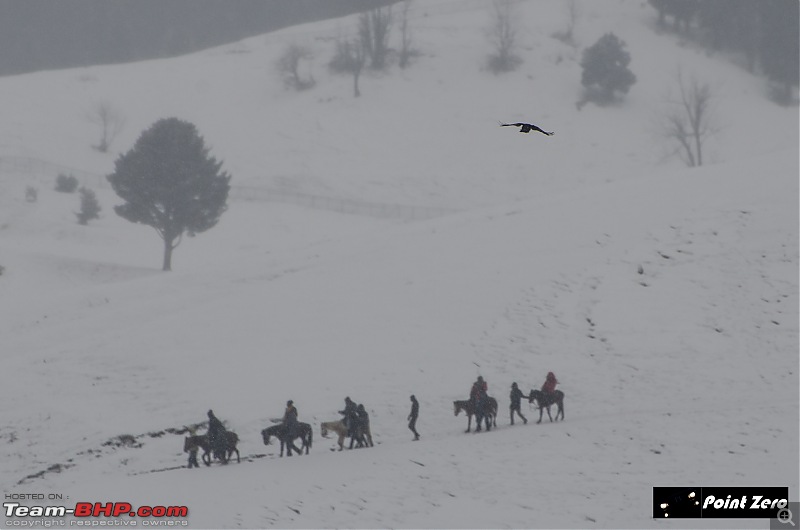 Chasing the Snow | Winter in Kashmir-dsc_2719.jpg