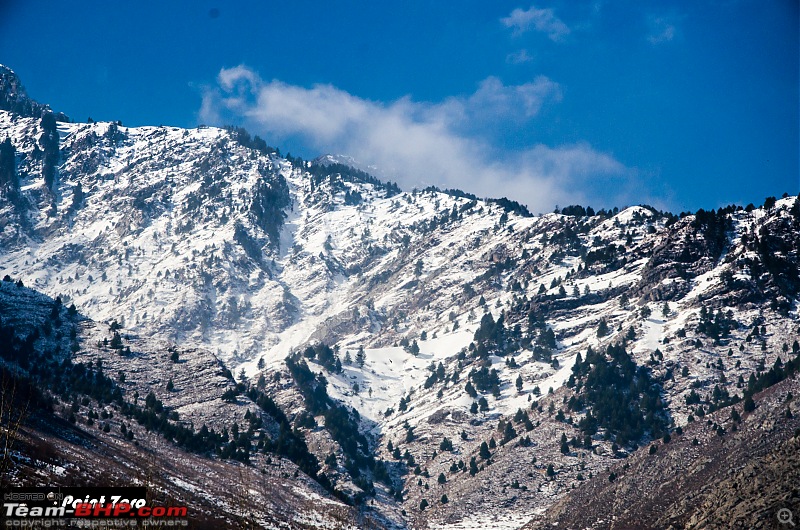 Chasing the Snow | Winter in Kashmir-tkd_6439.jpg