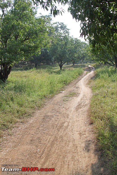 Haiku From The Dangs (The Forest Belt Of Gujarat)-grove_road.jpg