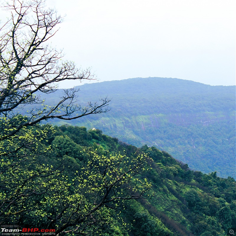 Pune to Panjim and back | 880 km ride on a Royal Enfield Himalayan-img_6347.jpg