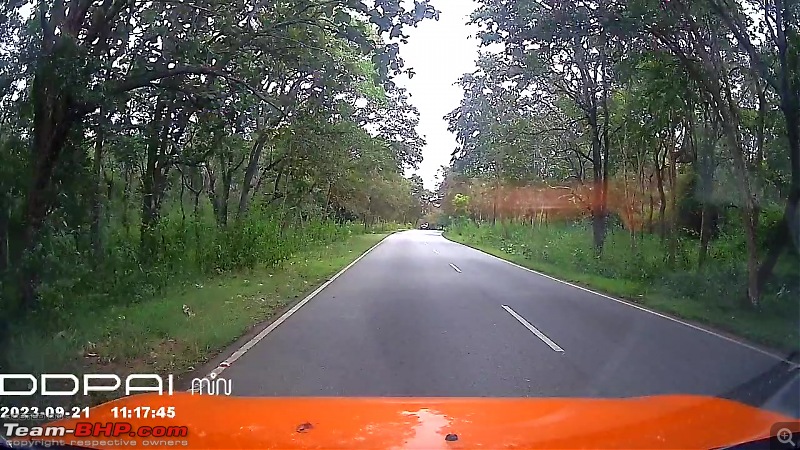 Trip from Pondy to Palani, Ooty,Wayanad and Mysuru-51.-road-inside-forest.jpg
