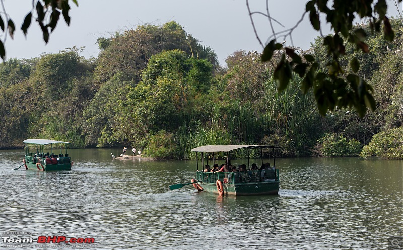 Impromptu Afternoon Drive to Ranganathittu Bird Sanctuary-rangnathittu202401.jpg