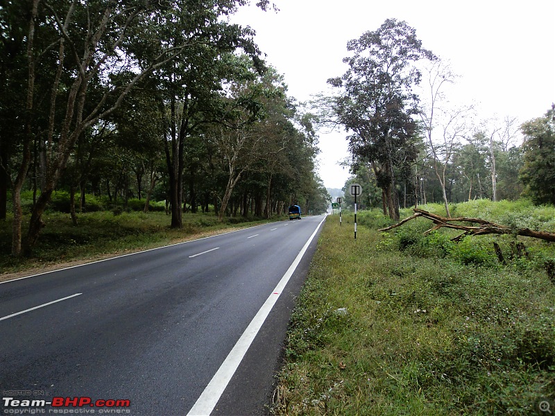 A Roadtrip to Kannur-dsc02745.jpg
