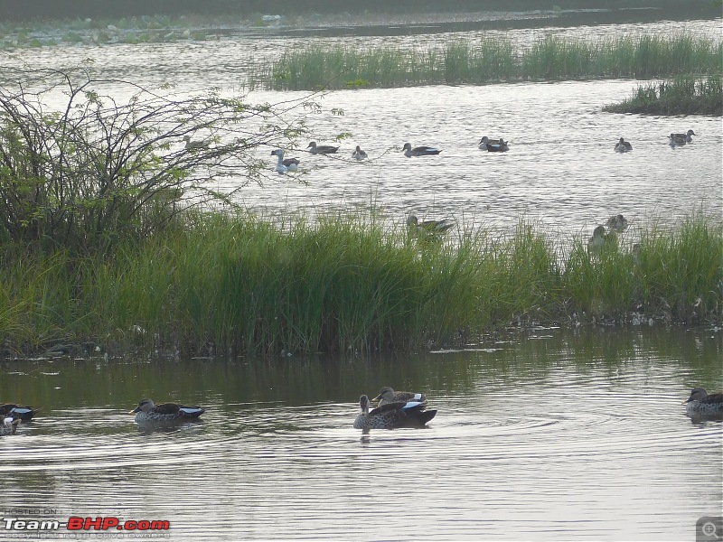 Run to the Little Rann, Dholavira and Lakhpat; a journey back in time-dscn2051.jpg