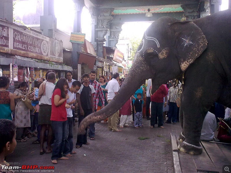 A weekend trip to Pondicherry-02012010065.jpg