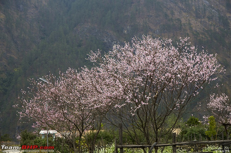 Sailed through Arunachal Pradesh in a Maruti Jimny-img_4637.jpg