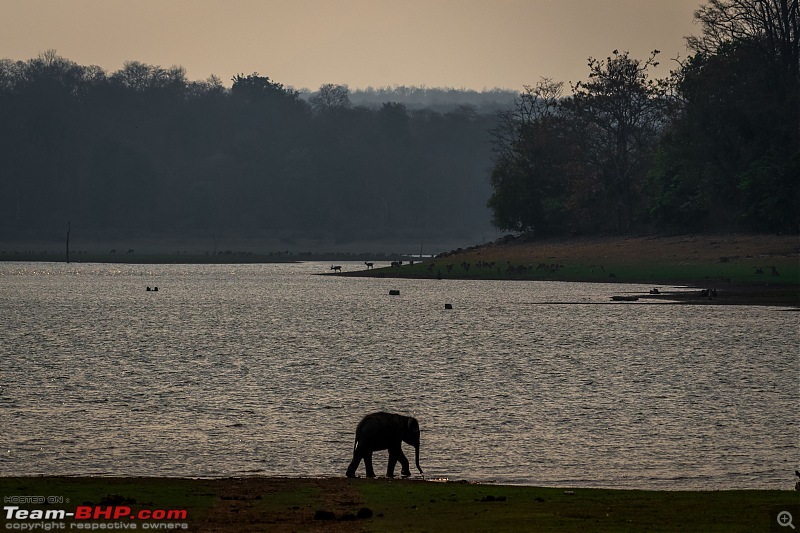 Kabini | After a long gap-005.jpg