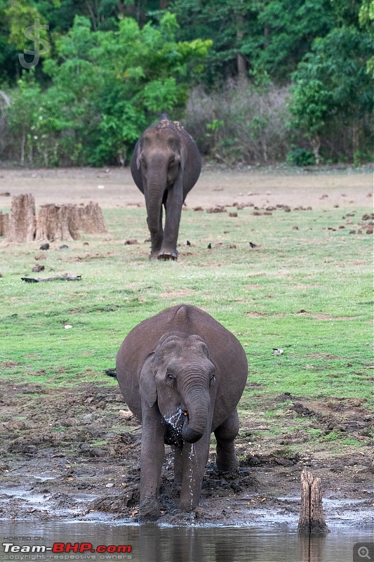 Kabini | After a long gap-030.jpg