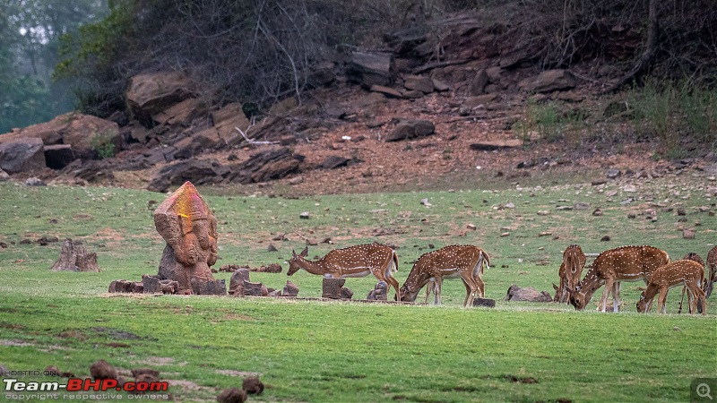 Kabini | After a long gap-031.jpg