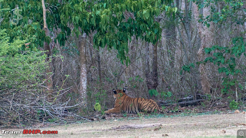 Kabini | After a long gap-033.jpg