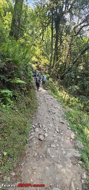 The Iconic Goechala Trek in Sikkim-go-33.jpg