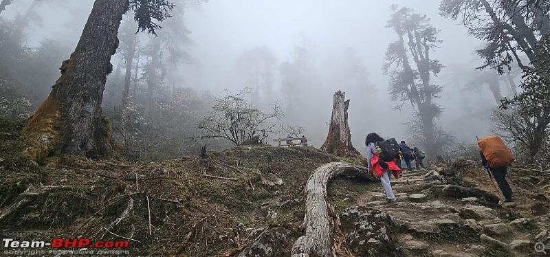 The Iconic Goechala Trek in Sikkim-go-55.jpg