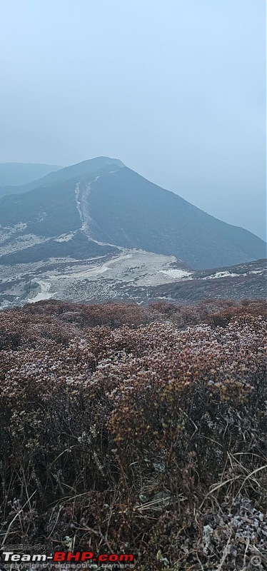 The Iconic Goechala Trek in Sikkim-go-81.jpg