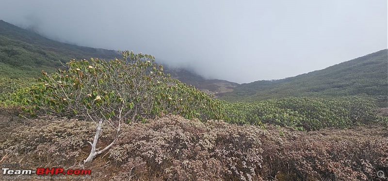 The Iconic Goechala Trek in Sikkim-go-86.jpg