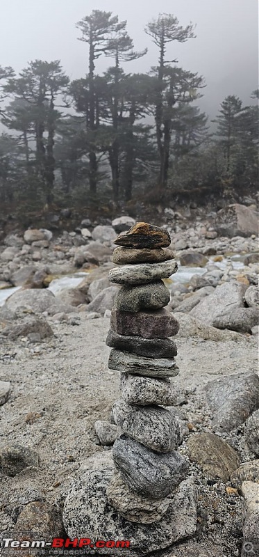 The Iconic Goechala Trek in Sikkim-go-95.jpg